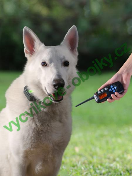 v�cvikov� elektronick� obojky