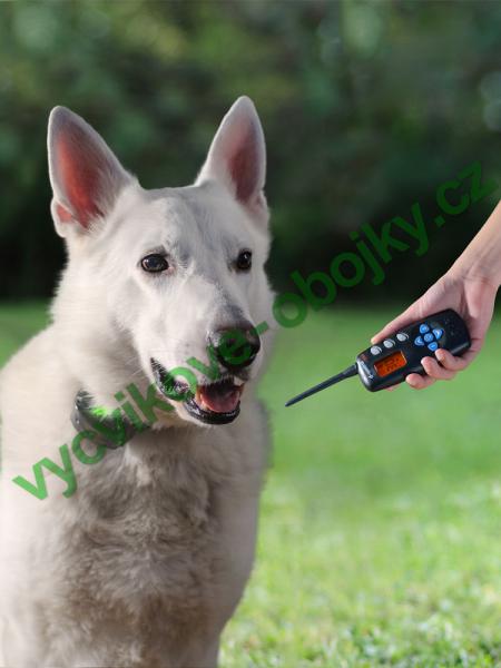 v�cvikov� elektronick� obojky