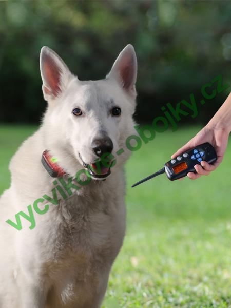 v�cvikov� elektronick� obojky