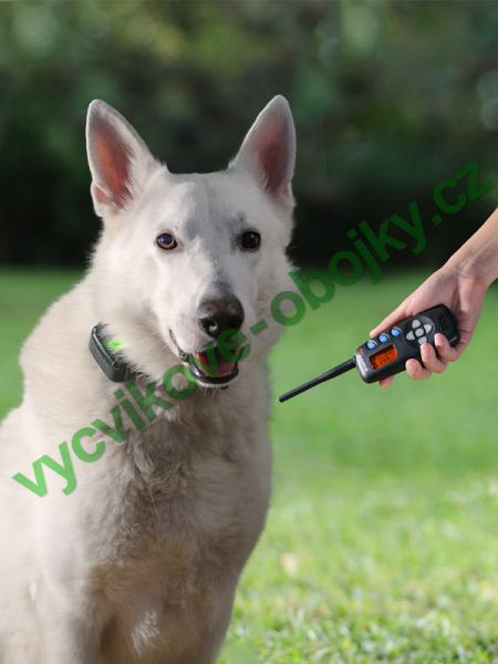 v�cvikov� elektronick� obojky