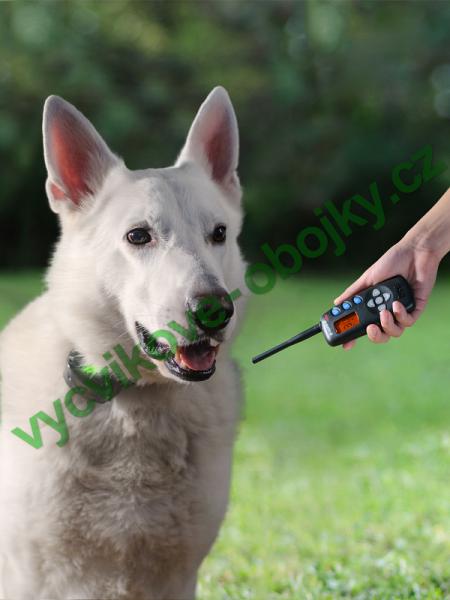 v�cvikov� elektronick� obojky