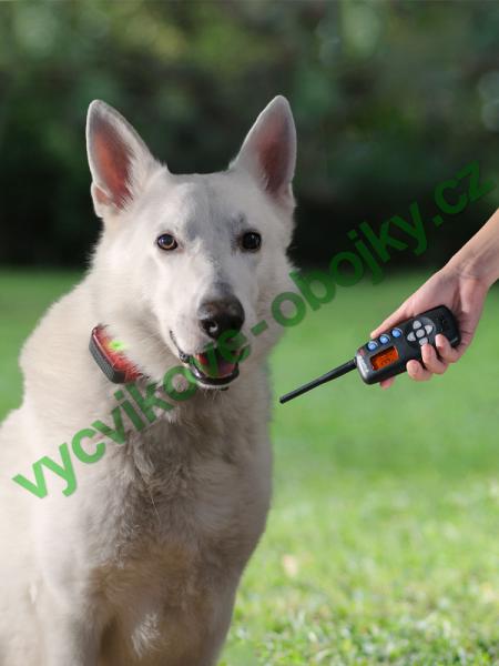 v�cvikov� elektronick� obojky