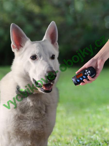 v�cvikov� elektronick� obojky