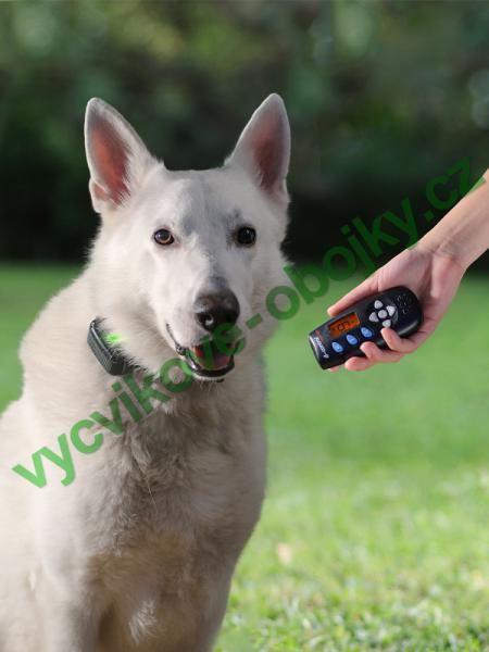 v�cvikov� elektronick� obojky