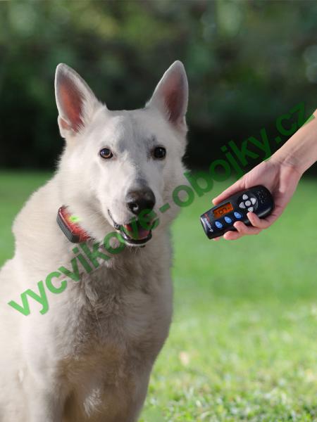 v�cvikov� elektronick� obojky