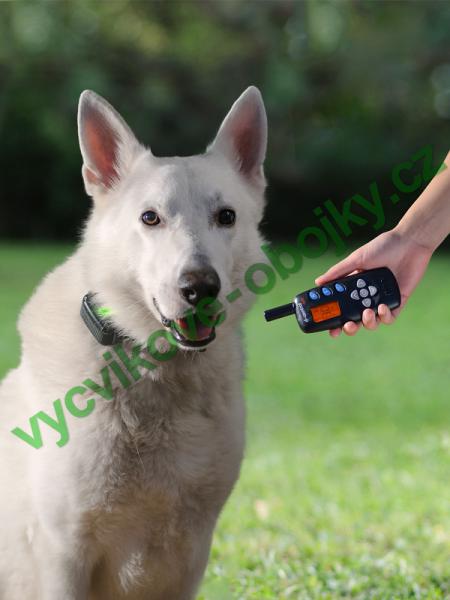 v�cvikov� elektronick� obojky