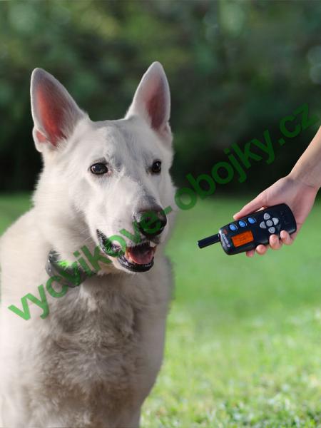 v�cvikov� elektronick� obojky