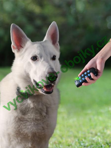 v�cvikov� elektronick� obojky