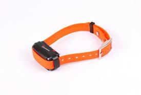 d-control professional 2000 ONE   ORANGE   