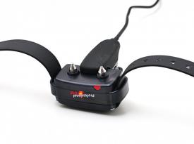 d-control professional 2000 ONE   ORANGE   